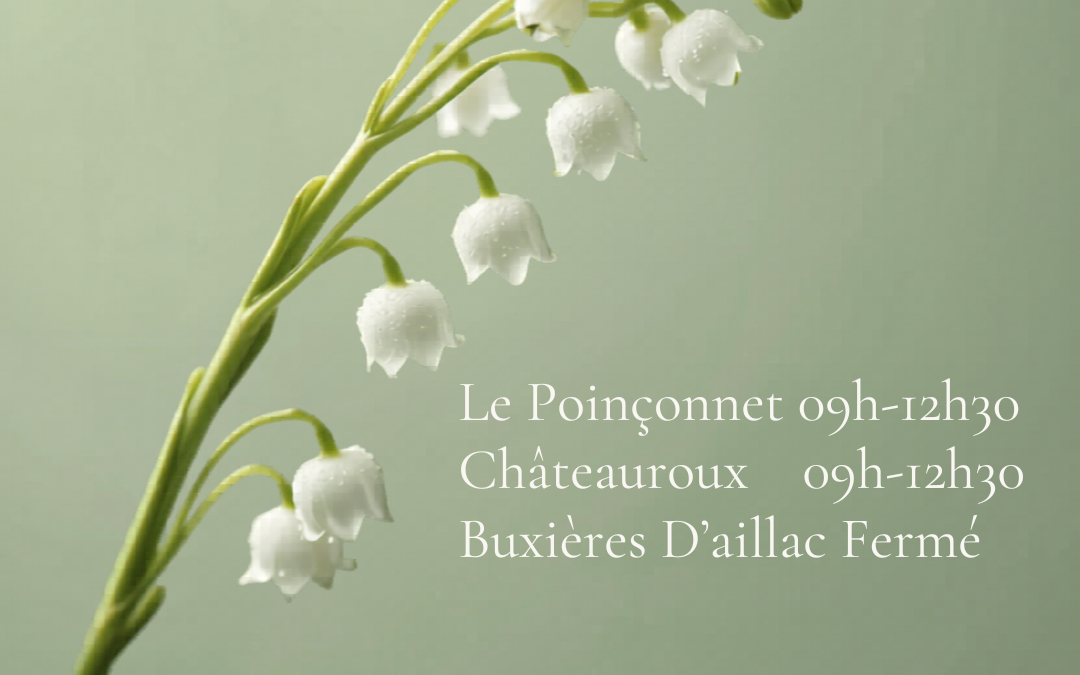 Horaires 8 mai 2026