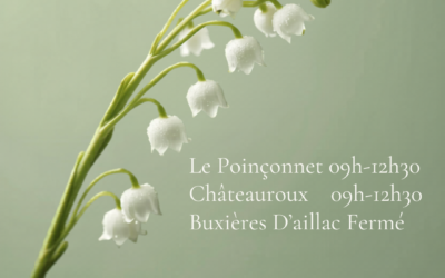 Horaires 8 mai 2026